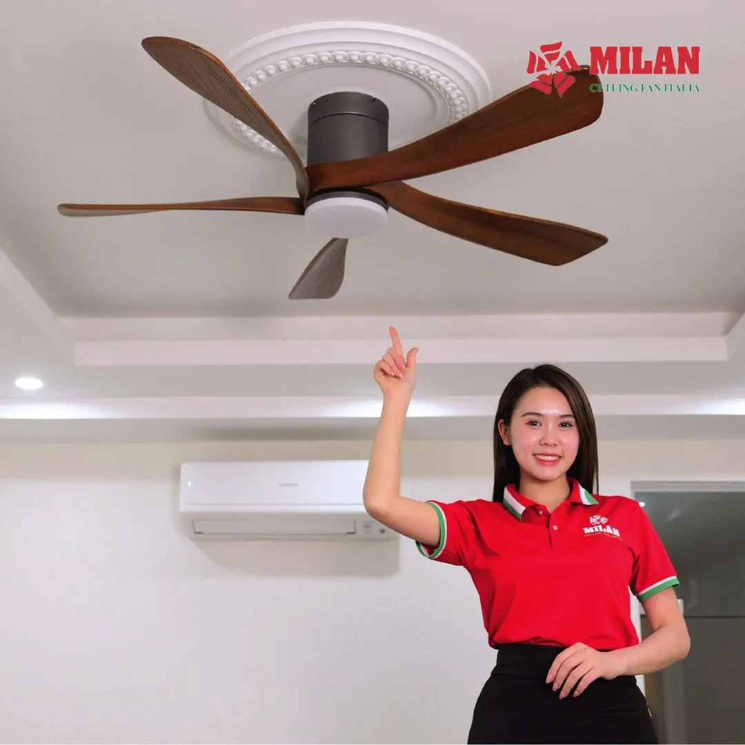 khong-gian-lap-dat-quat-tran-den-5-canh-fy505